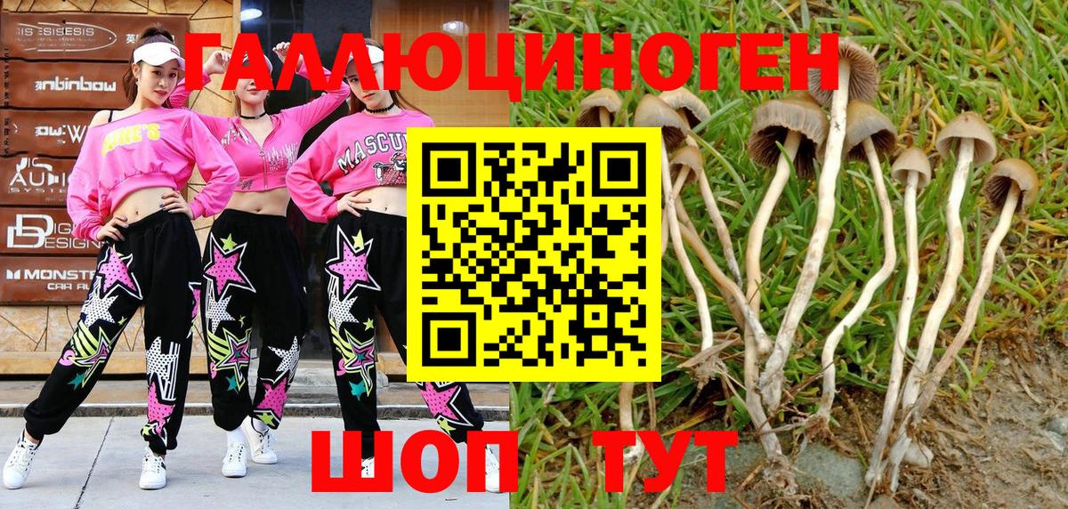 Галлюциногенные грибы MAGIC MUSHROOMS Скопин